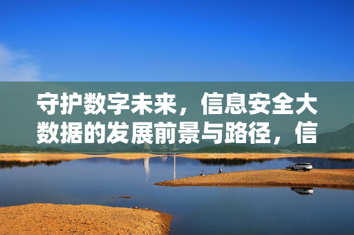 守护数字未来，信息安全大数据的发展前景与路径，信息安全大数据，守护数字未来的发展前景与路径