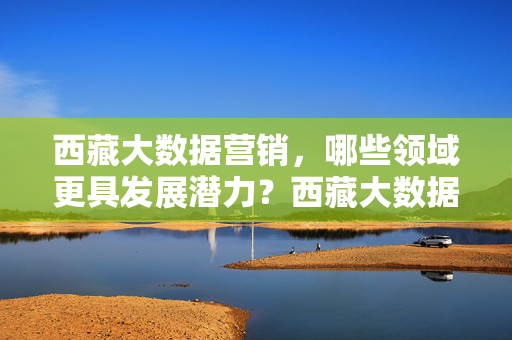 西藏大数据营销，哪些领域更具发展潜力？西藏大数据营销潜力领域探析