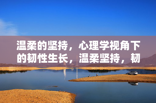 温柔的坚持，心理学视角下的韧性生长，温柔坚持，韧性生长，心理学视角