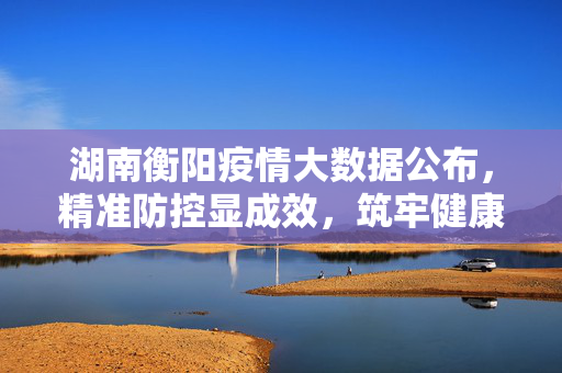 湖南衡阳疫情大数据公布，精准防控显成效，筑牢健康安全线，湖南衡阳疫情大数据精准防控 筑牢健康安全线