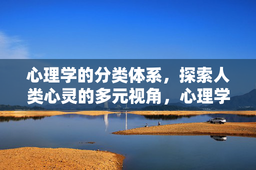 心理学的分类体系，探索人类心灵的多元视角，心理学分类体系，探索人类心灵的多元视角