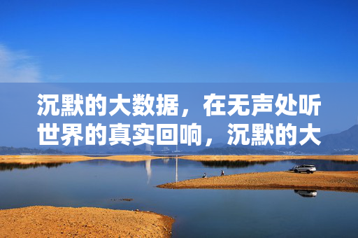 沉默的大数据，在无声处听世界的真实回响，沉默的大数据，无声处的真实回响