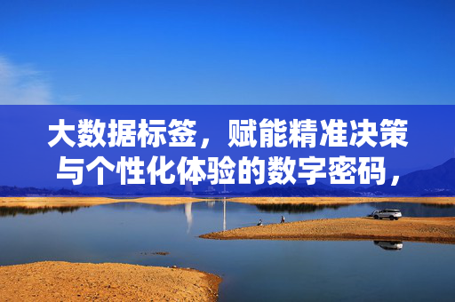 大数据标签，赋能精准决策与个性化体验的数字密码，大数据标签，精准决策与个性化体验的数字密码