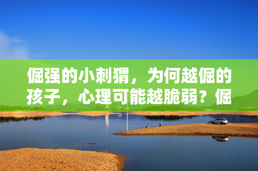 倔强的小刺猬，为何越倔的孩子，心理可能越脆弱？倔强的小刺猬，越倔的孩子，心理为何越脆弱？