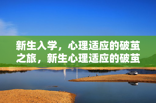 新生入学，心理适应的破茧之旅，新生心理适应的破茧之旅
