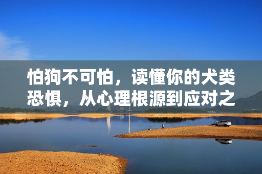 怕狗不可怕，读懂你的犬类恐惧，从心理根源到应对之道，怕狗不可怕，读懂犬类恐惧的心理根源与应对