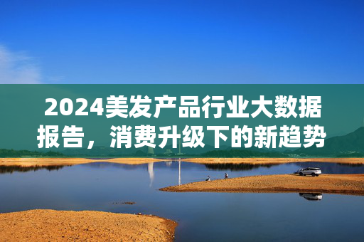2024美发产品行业大数据报告，消费升级下的新趋势与增长引擎