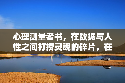 心理测量者书，在数据与人性之间打捞灵魂的碎片，在数据与人性之间打捞灵魂碎片