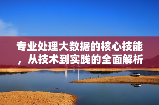 专业处理大数据的核心技能，从技术到实践的全面解析，专业大数据处理核心技能，从技术到实践全解析