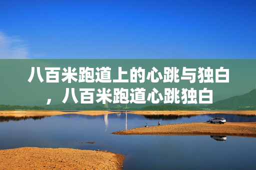 八百米跑道上的心跳与独白，八百米跑道心跳独白