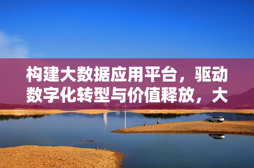 构建大数据应用平台，驱动数字化转型与价值释放，大数据应用平台驱动数字化转型与价值释放