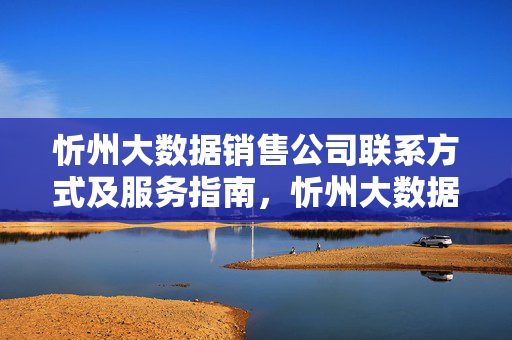 忻州大数据销售公司联系方式及服务指南，忻州大数据销售公司联系方式及服务指南
