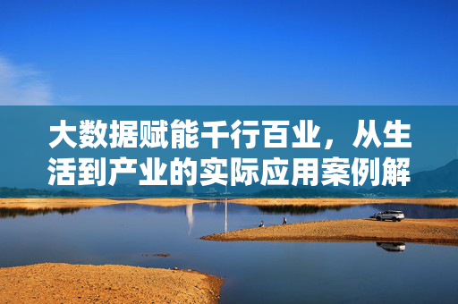 大数据赋能千行百业，从生活到产业的实际应用案例解析，大数据赋能千行百业，生活与产业的实际应用案例解析