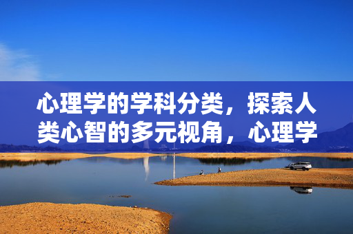 心理学的学科分类，探索人类心智的多元视角，心理学学科分类，探索人类心智的多元视角