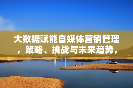 大数据赋能自媒体营销管理，策略、挑战与未来趋势，大数据赋能自媒体营销管理，策略、挑战与未来趋势