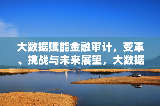大数据赋能金融审计，变革、挑战与未来展望，大数据赋能金融审计，变革、挑战与未来展望