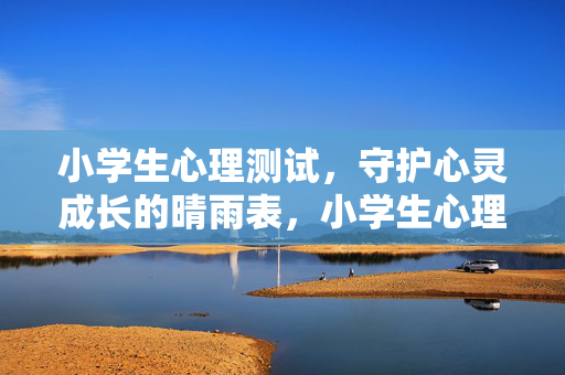 小学生心理测试，守护心灵成长的晴雨表，小学生心理测试，守护心灵成长的晴雨表