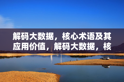 解码大数据，核心术语及其应用价值，解码大数据，核心术语与应用价值