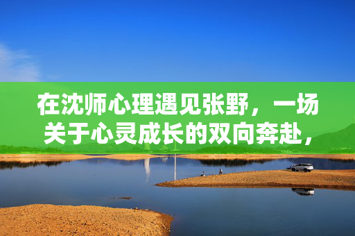 在沈师心理遇见张野，一场关于心灵成长的双向奔赴，沈师心理遇张野，心灵成长的双向奔赴