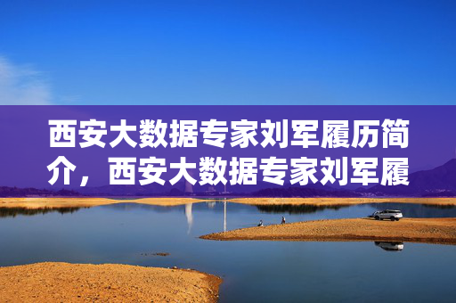 西安大数据专家刘军履历简介，西安大数据专家刘军履历简介