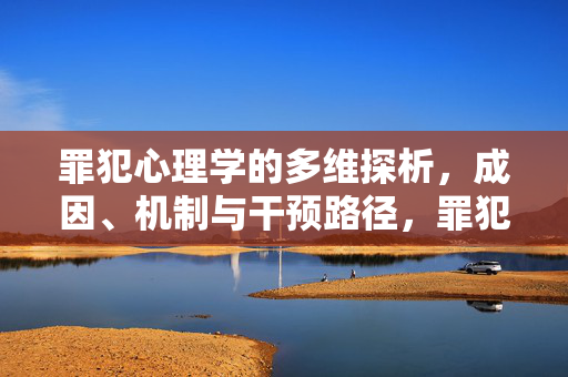罪犯心理学的多维探析，成因、机制与干预路径，罪犯心理学的多维探析，成因、机制与干预路径