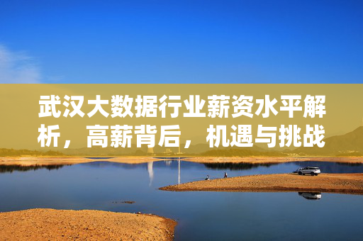 武汉大数据行业薪资水平解析，高薪背后，机遇与挑战并存，武汉大数据高薪背后，机遇与挑战并存