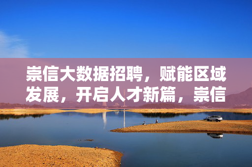 崇信大数据招聘，赋能区域发展，开启人才新篇，崇信大数据招聘 赋能区域发展启人才新篇