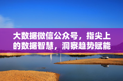 大数据微信公众号，指尖上的数据智慧，洞察趋势赋能未来