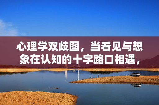 心理学双歧图，当看见与想象在认知的十字路口相遇，心理学双歧图，看见与想象的认知十字路口