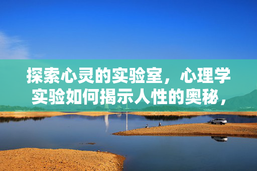 探索心灵的实验室，心理学实验如何揭示人性的奥秘，心灵实验室，心理学实验揭示人性奥秘