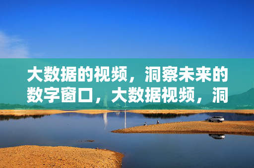 大数据的视频，洞察未来的数字窗口，大数据视频，洞察未来的数字窗口