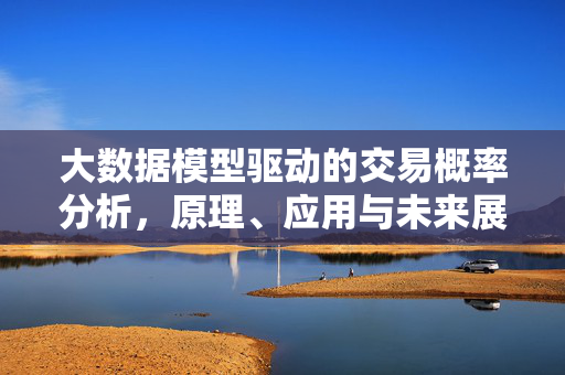 大数据模型驱动的交易概率分析，原理、应用与未来展望，大数据模型驱动的交易概率分析，原理、应用与展望
