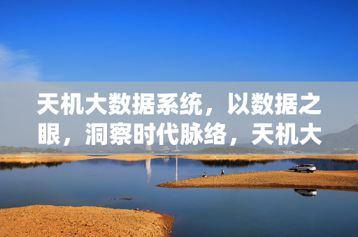天机大数据系统，以数据之眼，洞察时代脉络，天机大数据系统，数据之眼洞察时代脉络