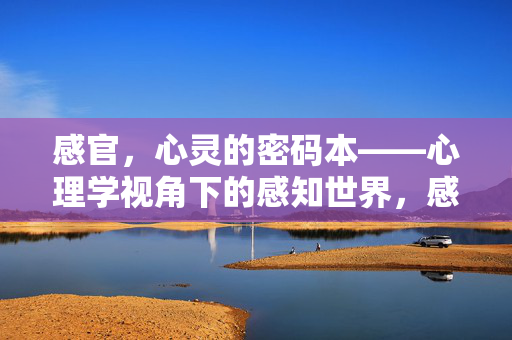 感官，心灵的密码本——心理学视角下的感知世界，感官，心灵的密码本——心理学视角下的感知世界
