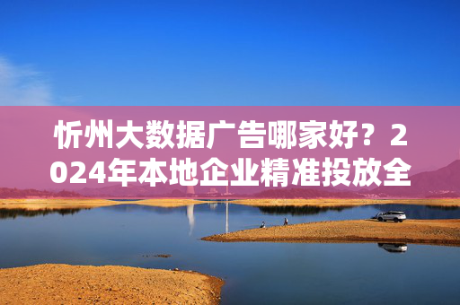 忻州大数据广告哪家好？2024年本地企业精准投放全攻略，忻州2024本地企业大数据广告精准投放全攻略