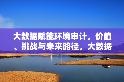 大数据赋能环境审计，价值、挑战与未来路径，大数据赋能环境审计，价值、挑战与未来路径