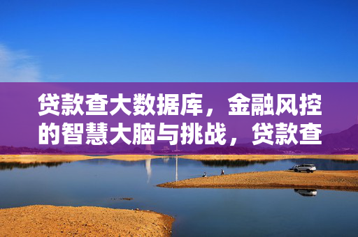 贷款查大数据库，金融风控的智慧大脑与挑战，贷款查大数据库，金融风控的智慧大脑与挑战