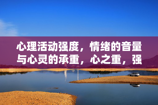 心理活动强度，情绪的音量与心灵的承重，心之重，强度、音量与承重