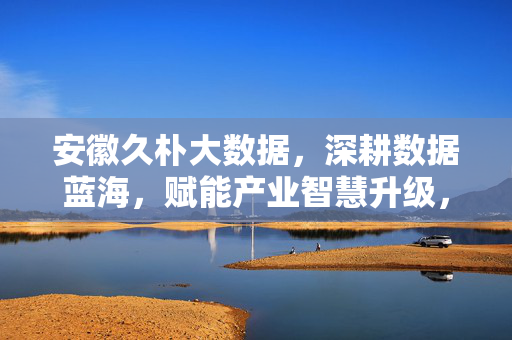 安徽久朴大数据，深耕数据蓝海，赋能产业智慧升级，安徽久朴大数据，深耕数据蓝海，赋能产业智慧升级