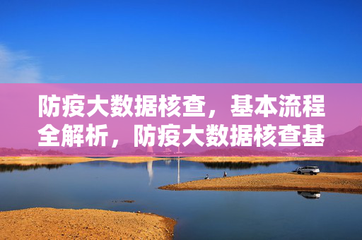 防疫大数据核查，基本流程全解析，防疫大数据核查基本流程全解析