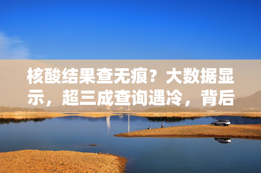 核酸结果查无痕？大数据显示，超三成查询遇冷，背后是系统堵点还是数据迷雾？核酸结果查询遇冷超三成，系统堵点还是数据迷雾？