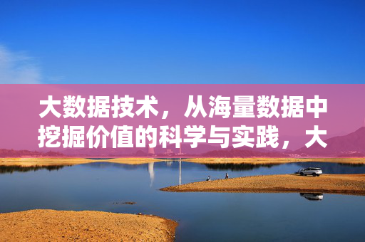 大数据技术，从海量数据中挖掘价值的科学与实践，大数据技术，海量数据价值挖掘的科学与实践