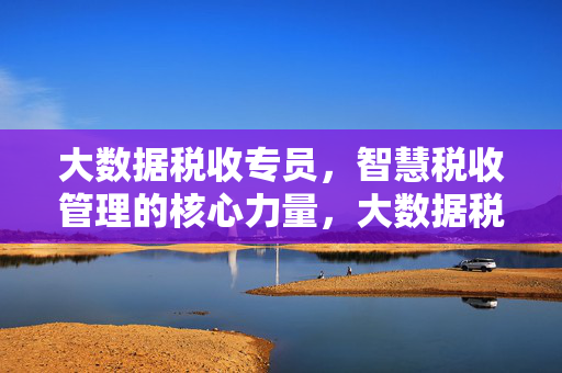 大数据税收专员，智慧税收管理的核心力量，大数据税收专员，智慧税收管理的核心力量