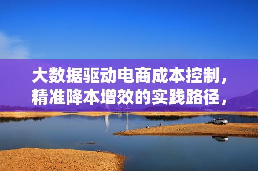 大数据驱动电商成本控制，精准降本增效的实践路径，大数据驱动电商成本控制，精准降本增效路径