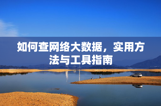 如何查网络大数据，实用方法与工具指南
