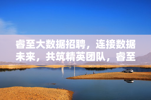睿至大数据招聘，连接数据未来，共筑精英团队，睿至大数据招聘，连接数据未来，共筑精英团队