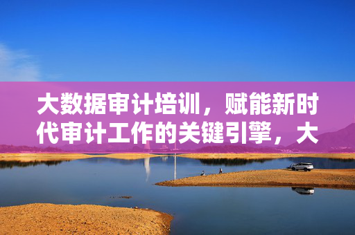 大数据审计培训，赋能新时代审计工作的关键引擎，大数据审计培训，赋能新时代审计的关键引擎