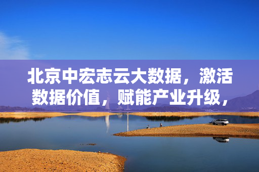 北京中宏志云大数据，激活数据价值，赋能产业升级，中宏志云大数据，激活数据价值，赋能产业升级