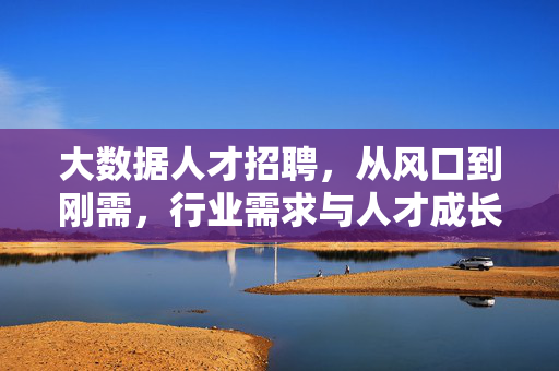 大数据人才招聘，从风口到刚需，行业需求与人才成长指南，大数据人才招聘，从风口到刚需的行业需求与成长指南