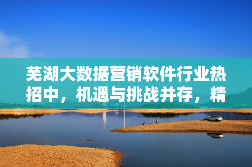 芜湖大数据营销软件行业热招中，机遇与挑战并存，精英等你加入！芜湖大数据营销软件行业热招，机遇挑战并存，精英共赴新程